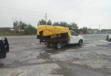 Guardia Estatal brinda seguridad en traslado de tigre de bengala