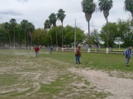 Aplican mantenimiento y limpieza en colonias populares