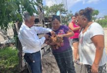 Aplicará la Secretaría de Salud más de 300 mil vacunas a mascotas