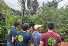 Comisión de Parques punto clave para preservar fauna silvestre en Tamaulipas