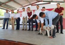 Pide SST vacunar perros y gatos en el marco de la Jornada de Vacunación Antirrábica