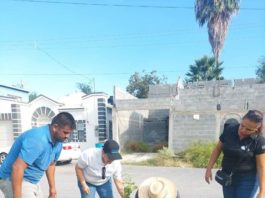 Plantan arbolitos donados por empresa bancaria