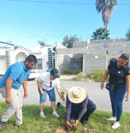 Plantan arbolitos donados por empresa bancaria