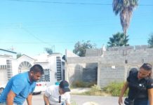 Reciben donación 20 arbolitos por parte del Banco Santander