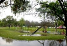 A la alza casos de dengue en Tamaulipas, destaca la ciudad de Tampico con más personas infectadas