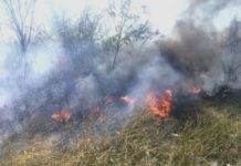 Bomberos acuden a sofocar incendio en pastizal que dejo daños materiales