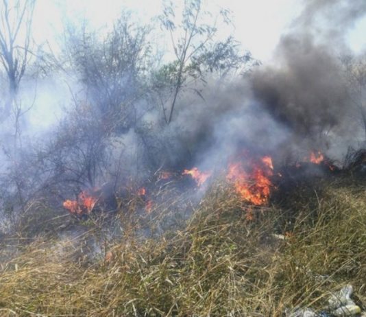 Bomberos acuden a sofocar incendio en pastizal que dejo daños materiales