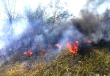 Bomberos sofocan incendio en pastizales que dejaron solo daños materiales