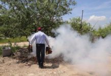 Suman 742 casos de dengue en Tamaulipas
