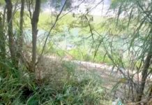 Sin identificar cadáver recatado flotando en aguas negras del canal Rodhe
