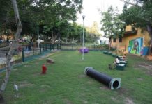 En Tampico se Continúa Modernizando la Infraestructura Recreativa