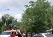 No haya al famoso Tigre que se “escapo” de un zoológico en Reynosa