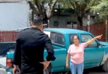 Se volvió “ojo de hormiga” el Tigre que se escapo no lo hayan