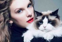 Taylor Swift se posiciona a favor de Kamala Harris