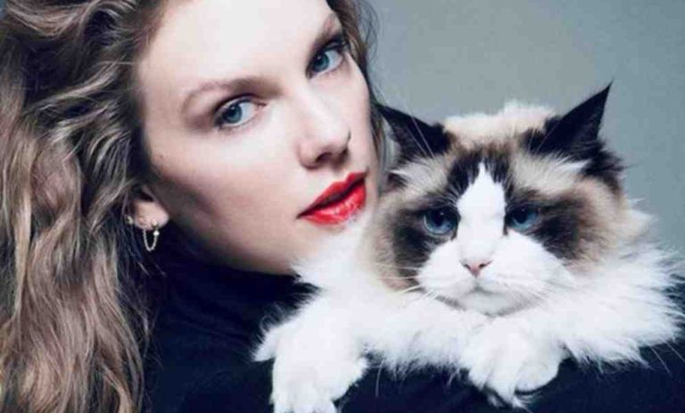 Taylor Swift se posiciona a favor de Kamala Harris