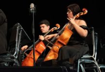 Reanuda el IRCA clases de cello