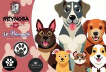 Adopta No Compres, un evento de amor en Reynosa