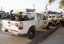 Arranca operativo de fumigación contra el mosquito transmisor del dengue, zika y chikungunya