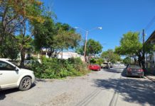 Realizan embellecimiento de bulevares en Río Bravo