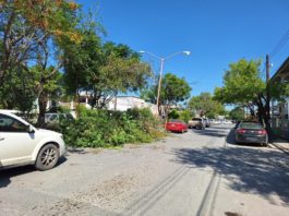 Realizan embellecimiento de bulevares en Río Bravo