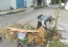 Trabaja en limpieza de panteones municipales