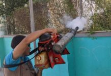 Exhortan a no bajar la guardia contra el dengue