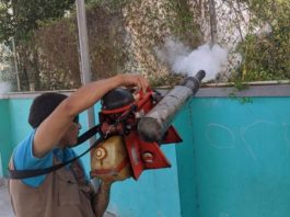 Exhortan a no bajar la guardia contra el dengue