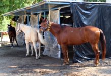 GE asegura reforzar seguridad y vigilancia en sitios rurales y turísticos