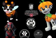 Adopta No Compres, Gobierno de Reynosa Invita a Evento para fomentar adopción de mascotas