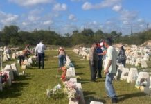 Intensifica Salud acciones contra el dengue y fumiga panteones