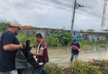 Muestra Gobierno de Carlos Peña Ortiz eficaz respuesta precipitaciones pluviales