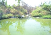 Aguas negras amenazan la salud en colonia del poniente