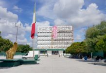 Dan “manita de tigre” a fachada de edificio del IMSS