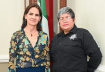 Seguridad y Bienestar de la Población, Prioridad del Sistema DIF Tampico: Luz Adriana Villarreal