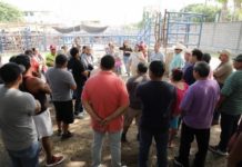 Dará Mónica Villarreal Mayor Rentabilidad al Rastro Municipal