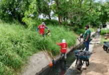 Intensifican Labores de Limpieza y Desazolve en la Red Hidráulica de Tampico