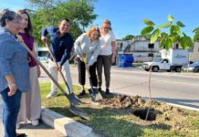 Inicia Ecología Municipal Amplia Campaña de Arborización en Tampico