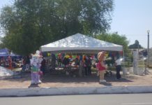 Invitan a población hacer conciencia y adoptar una mascota