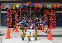 Universidad Tamaulipeca Celebra Día de Muertos con Altares Tradicionales