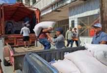 Entregan semilla de trigo y sembradoras a los municipios de Burgos, Méndez y San Fernando