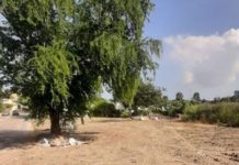 Rescatan la PAUT predio en Tampico tras retiro de escombros y desechos
