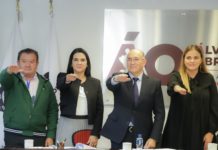 Es Electa Mónica Villarreal a la Mesa Directiva de ICLEI