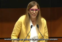 Aprobó Senado Reforma Constitucional presentada por la Legisladora Maki Ortiz