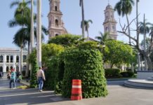 A punto de llegar espíritu navideño a Tampico