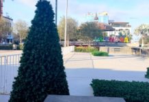 Inicia la instalación del mega pinito de navidad y Eco pista de patinar