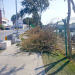 Intensifican limpieza en canales (4)