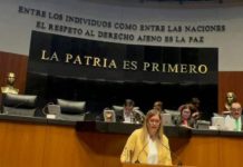 Presentó Senadora Maki Ortiz Reforma Constitucional Contra el Maltrato Animal