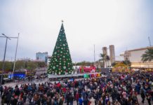 Ilumina el IRCA el Encendido del Pino 2024