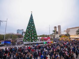 Ilumina el IRCA el Encendido del Pino 2024