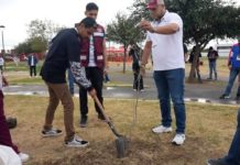 Realizan campañas de reforestación permanentemente